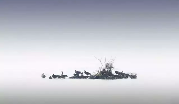 taptap点点绝地大逃杀广告拍摄极简方式图 taptap点点绝地大逃杀广告拍摄极简方式图