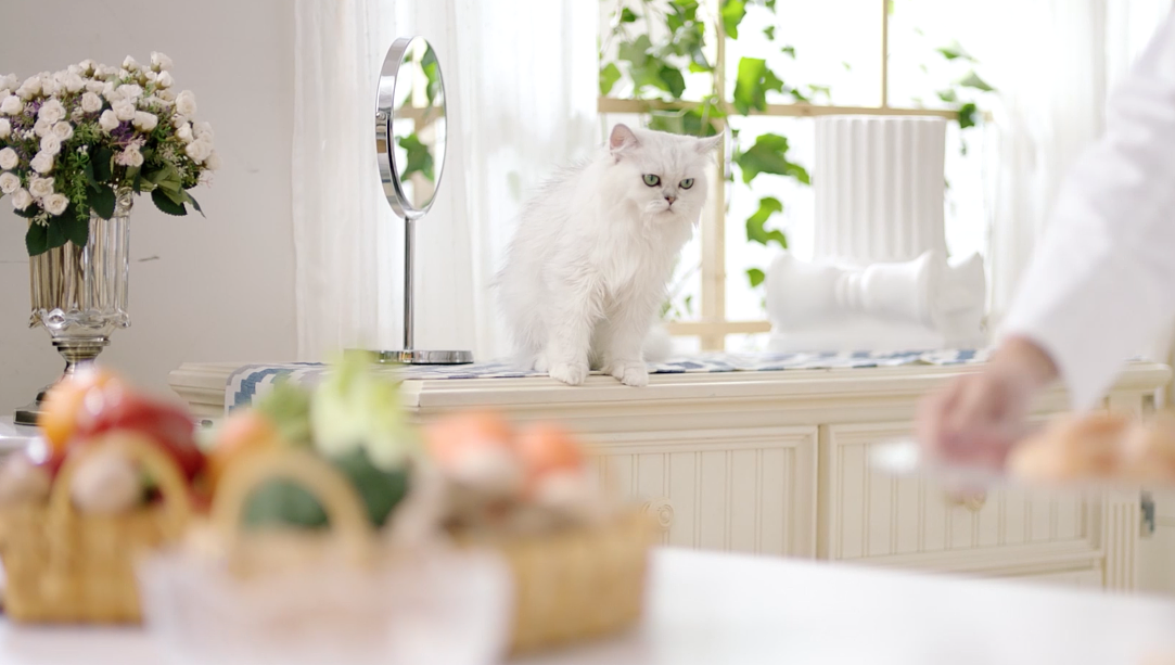 taptap点点绝地大逃杀制作初剪和精剪为顾客制做出最高品(图1) taptap点点绝地大逃杀制作