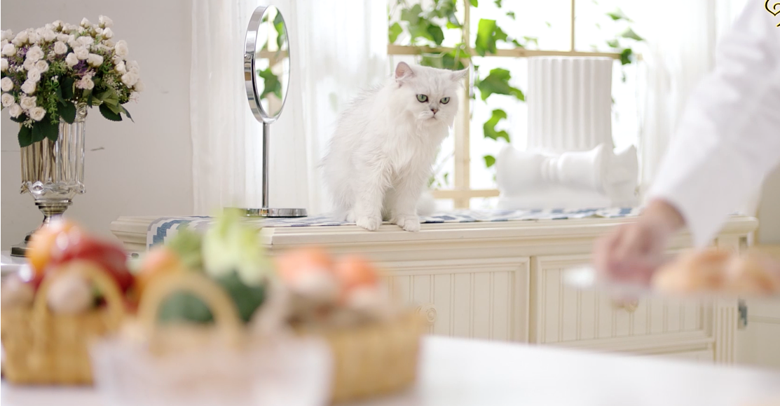 精益求精的taptap点点绝地大逃杀制作的拍摄技巧(图1) taptap点点绝地大逃杀拍摄制作