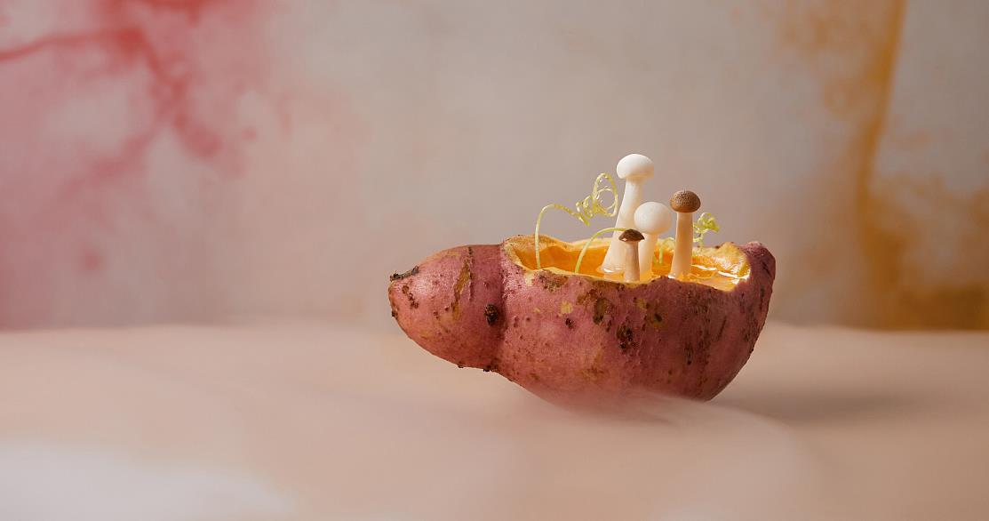 用真实的故事演绎taptap点点绝地大逃杀制作的方式至关重(图1) taptap点点绝地大逃杀制作