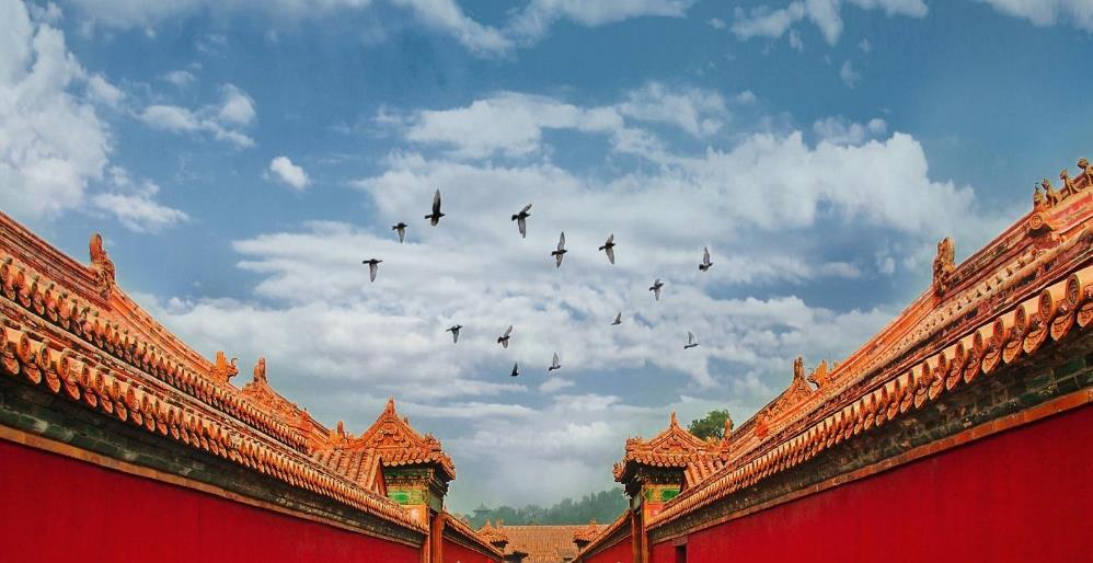 文旅taptap点点绝地大逃杀的制作一定要把握细节(图1) 文化旅游taptap点点绝地大逃杀拍摄镜头展示